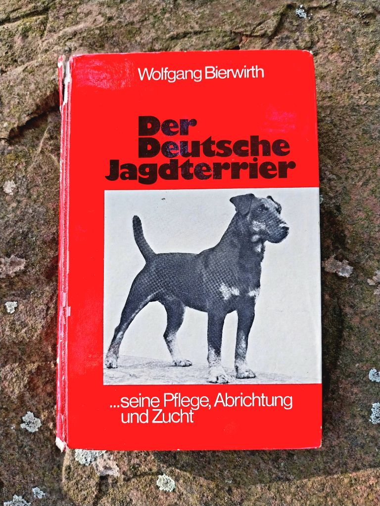 Jagdterrier 
